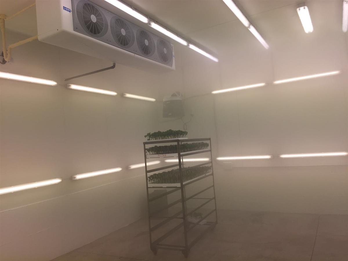 Cella di germinazione 01